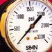 SPAN pressure gauges